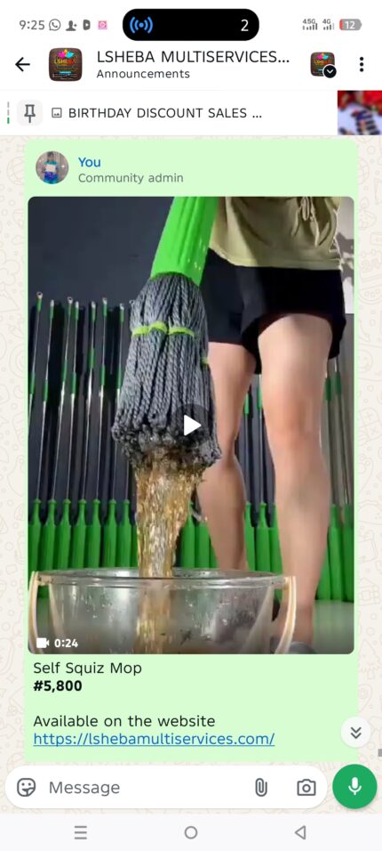 Self Squeeze mop