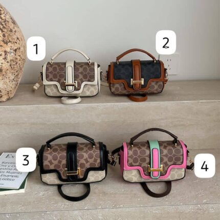 Porche and portable coach bag